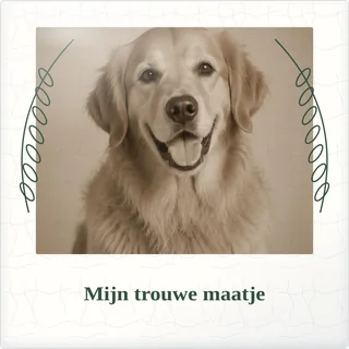 Tegeltje met foto mijn trouwe maatje de mooiste momenten van keramiek in detail