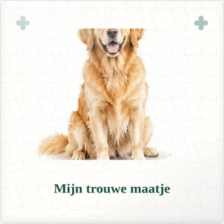 Tegeltje met foto mijn trouwe maatje een plek in mijn hart van keramiek in detail
