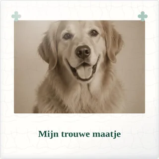 Tegeltje met foto mijn trouwe maatje een plek in mijn hart van keramiek in detail
