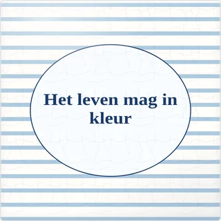 Tegeltje met tekst het leven mag in kleur van keramiek in detail