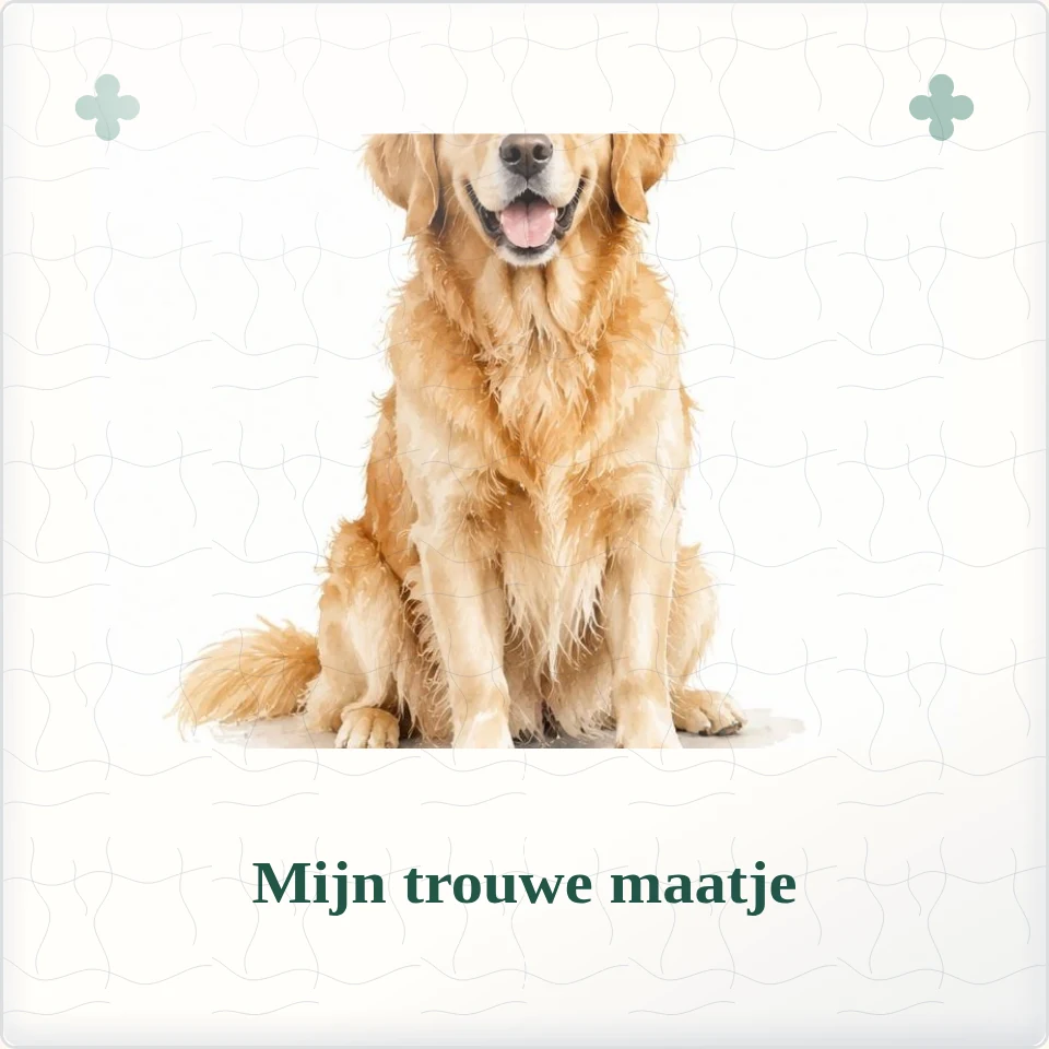 Tegeltje met foto mijn trouwe maatje een plek in mijn hart van keramiek in detail