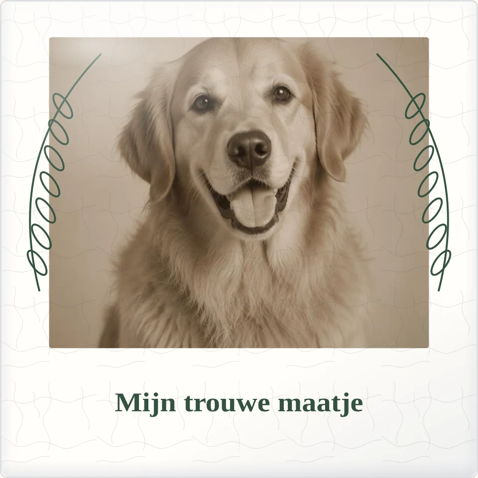 Tegeltje met foto mijn trouwe maatje de mooiste momenten van keramiek in detail