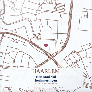 Tegeltje met tekst haarlem een stad vol herinneringen van keramiek in detail