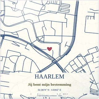 Tegeltje met tekst haarlem jij bent mijn bestemming van keramiek in detail