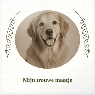 Tegeltje met foto mijn trouwe maatje samen is thuis van keramiek in detail
