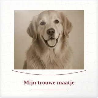 Tegeltje met foto mijn trouwe maatje geluk in kleine dingen van keramiek in detail