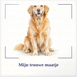 Tegeltje met foto mijn trouwe maatje ons verhaal van keramiek in detail