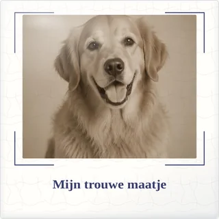 Tegeltje met foto mijn trouwe maatje ons verhaal van keramiek in detail