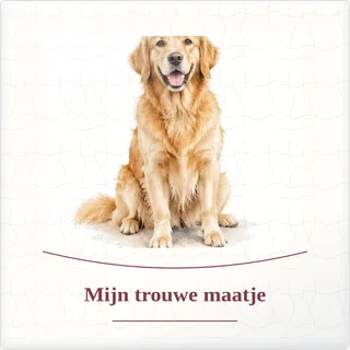 Tegeltje met foto mijn trouwe maatje geluk in kleine dingen van keramiek in detail