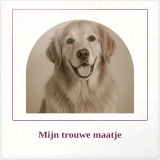 Tegeltje met foto mijn trouwe maatje liefde om te bewaren van keramiek in detail