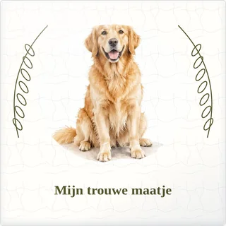 Tegeltje met foto mijn trouwe maatje samen is thuis van keramiek in detail